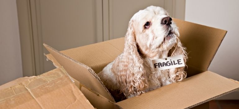 Untitled-design--37-