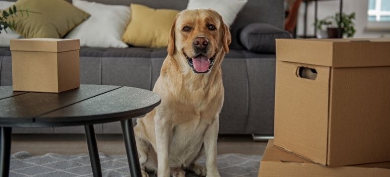 Untitled-design--39-