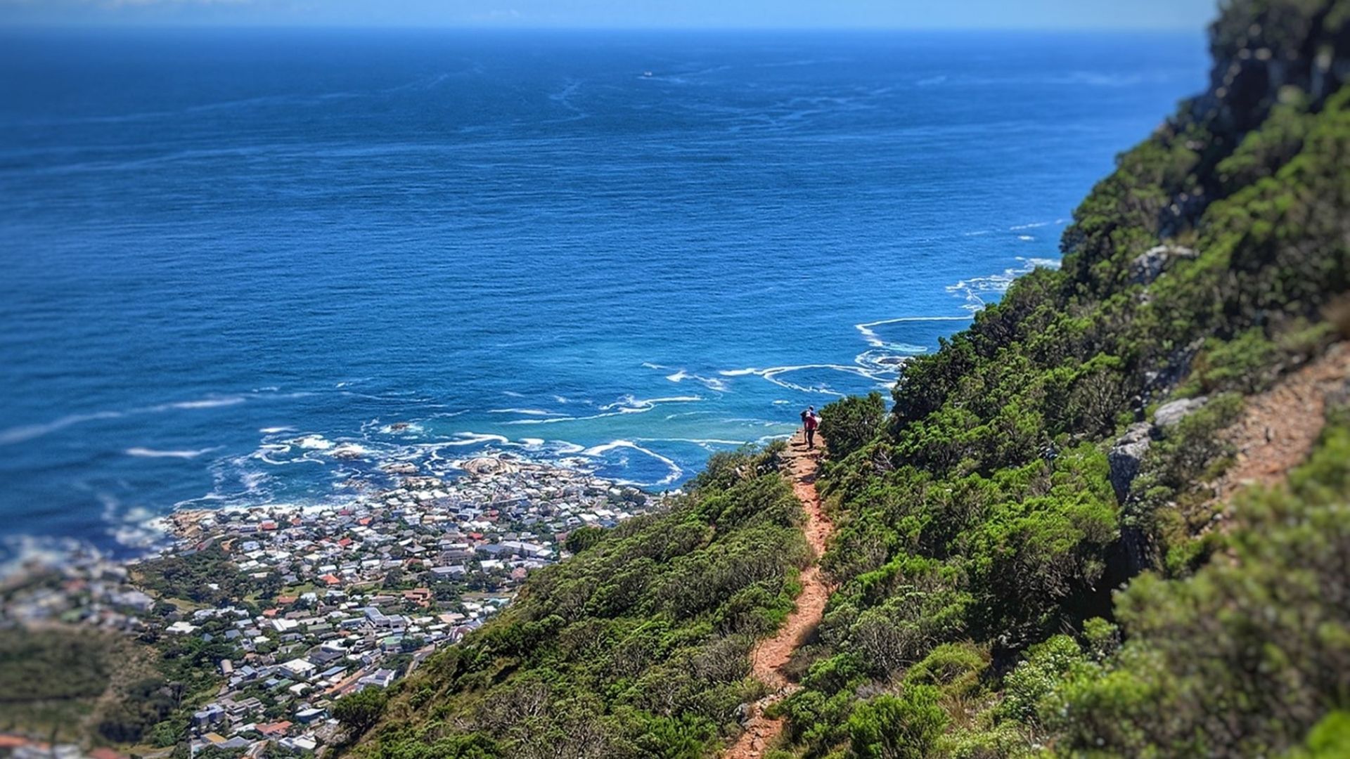 Untitled-design--40--1