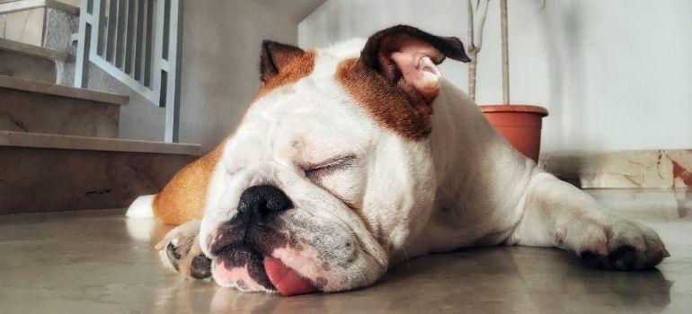 Untitled-design--40-