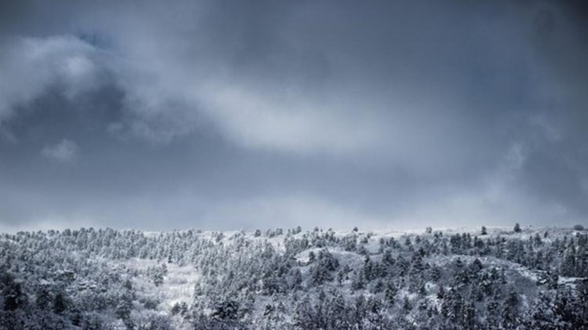 Untitled-design--41--1