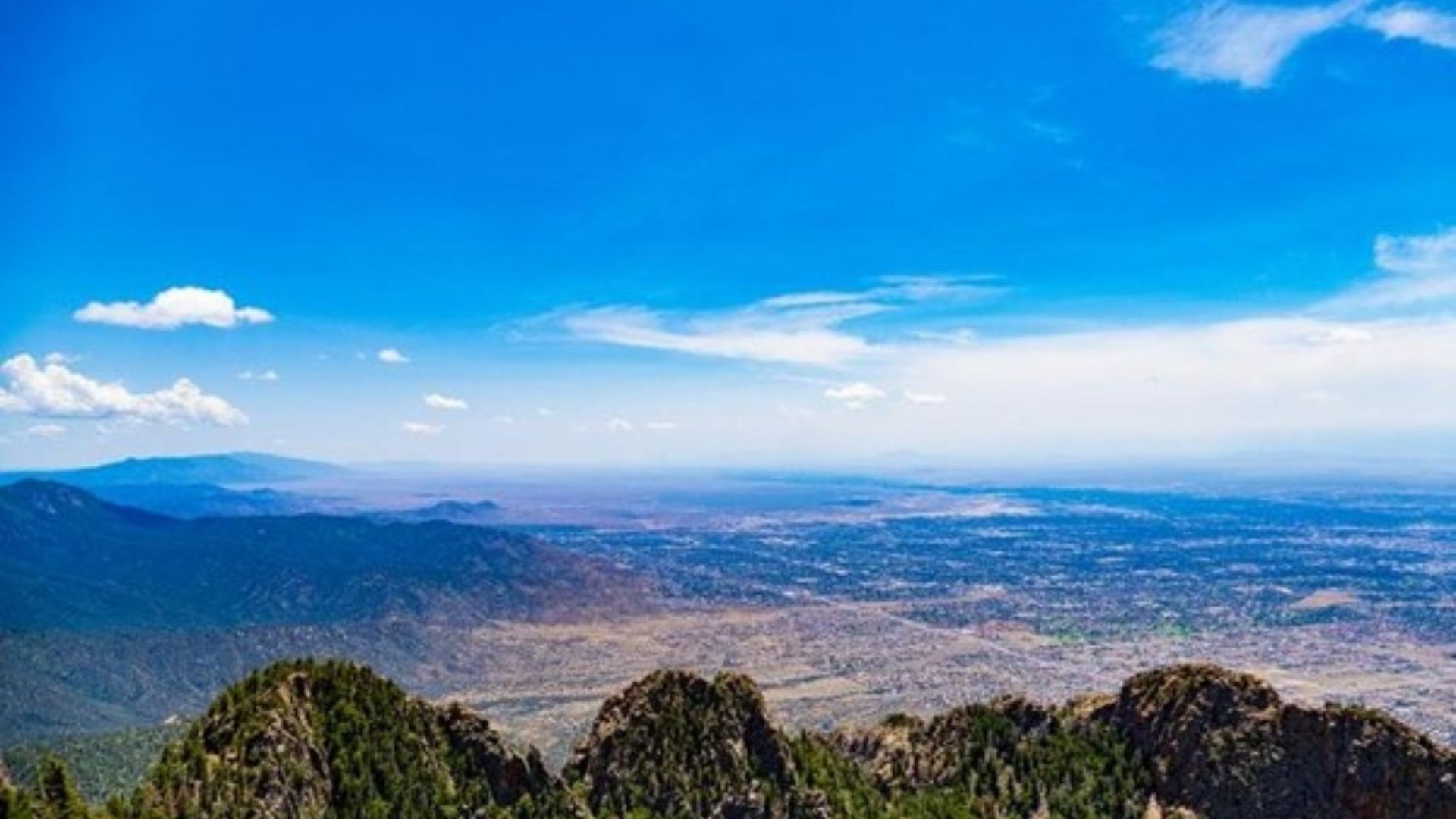 Untitled-design--43--1