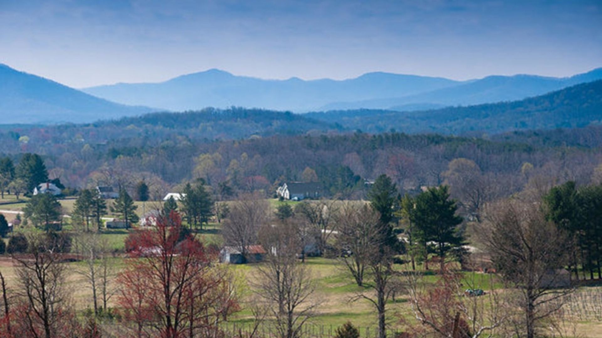 Untitled-design--44-