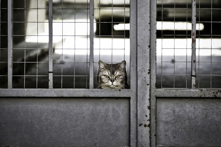 Začíname! Ako si pripraviť osnovu knihy? Vyskúšajte to ako King či Patterson