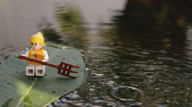 Ako uspieť? Pomaly! Knihu začnite písať, až keď ju máte premyslenú vetu po vete, radí Jana Plauchová