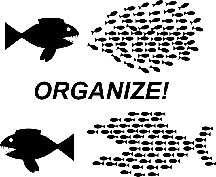 Manifest pre každodenný odpor v siedmich bodoch