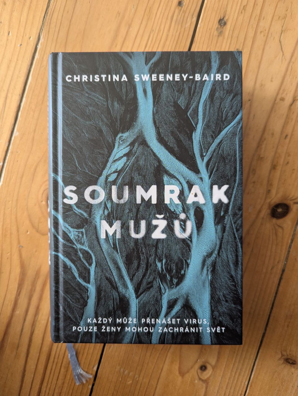 Soumrak mužů