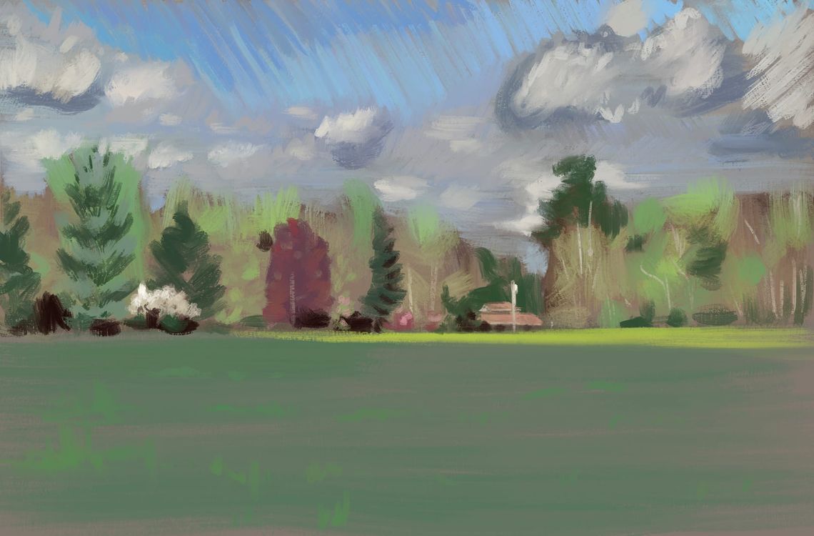 More Digital Landscapes