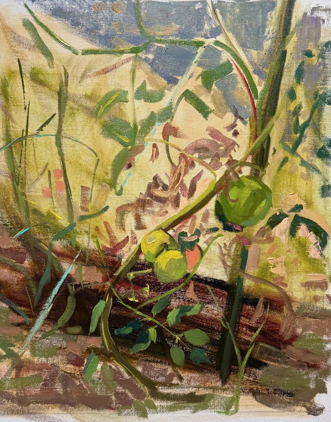 Toma-toes, Tom-a-to’s…