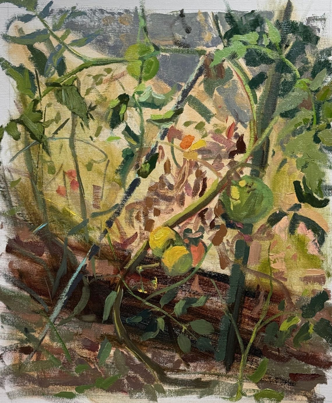 More Tomatoes from Life