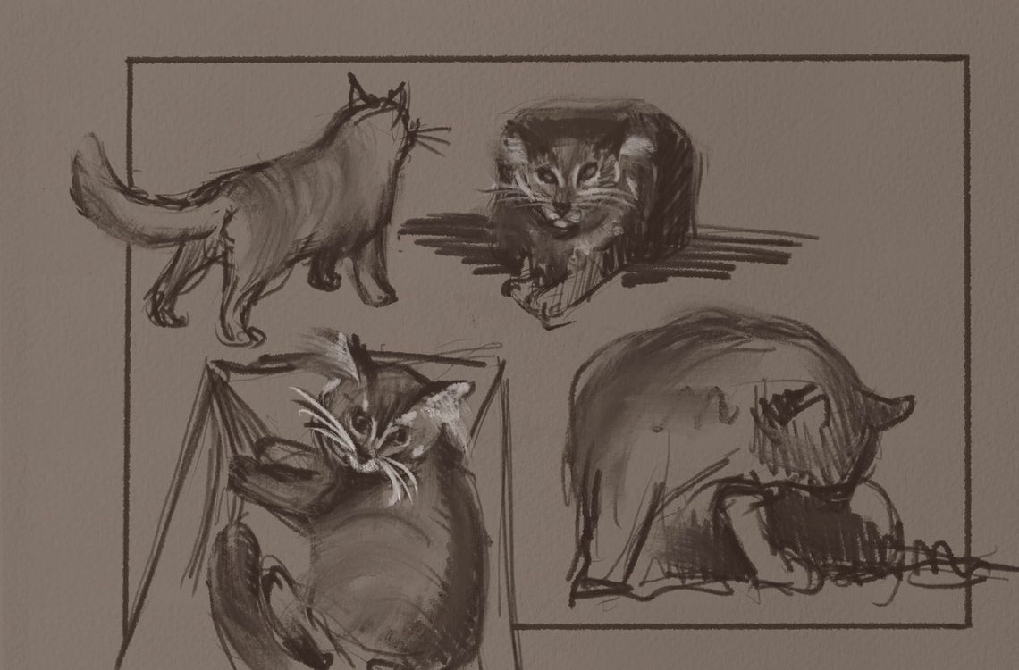 5 Minute Cat Sketches