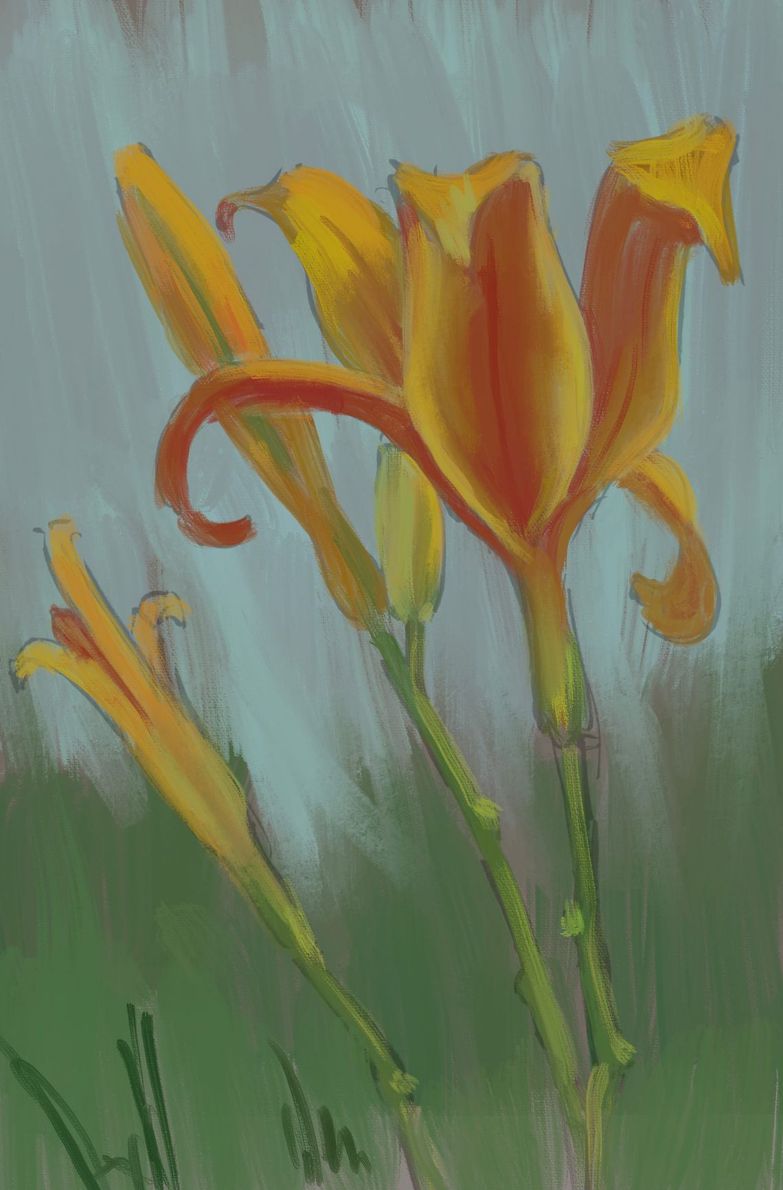 Yesterday’s Lily Sketch Returns