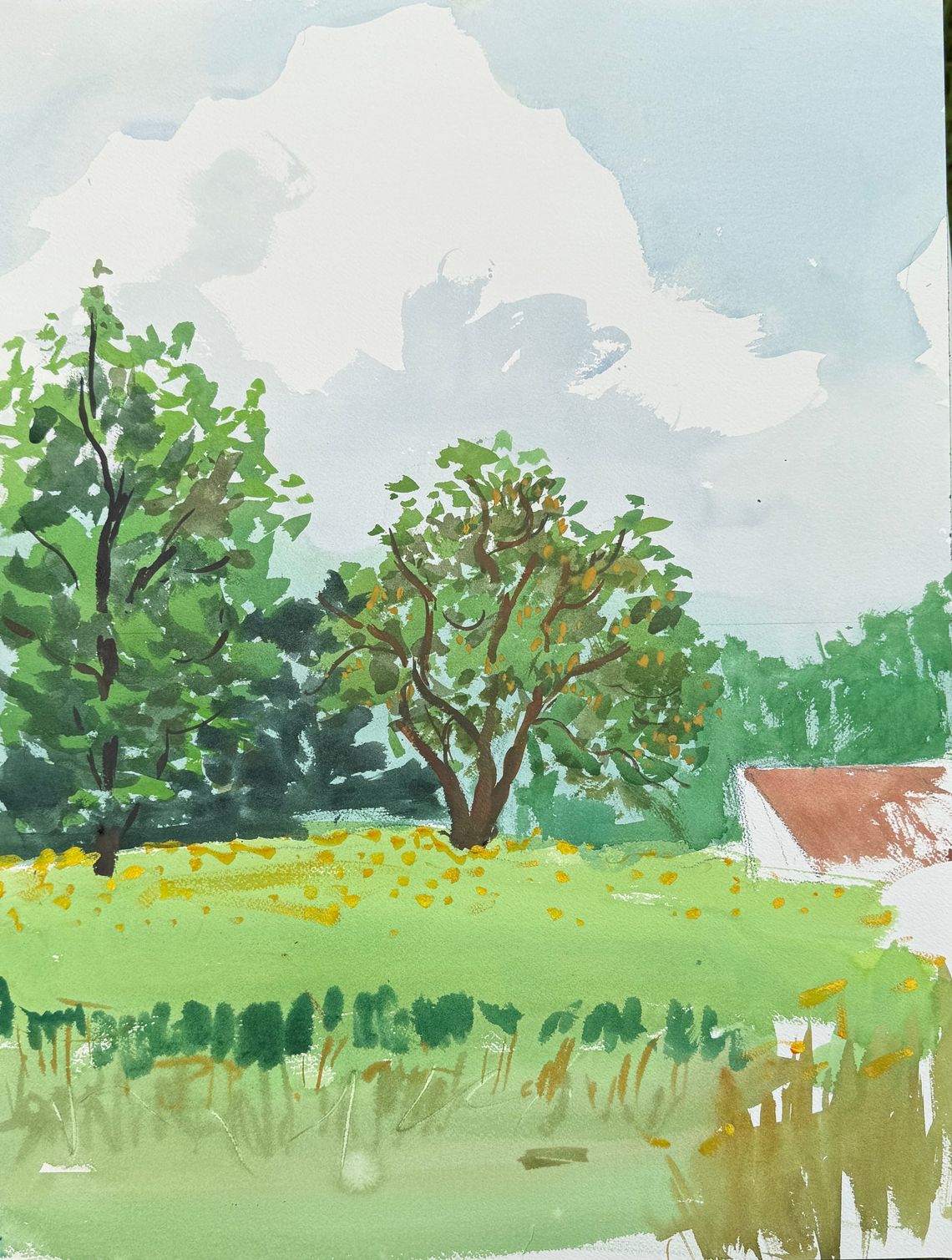 The Apple Tree Pt. 1