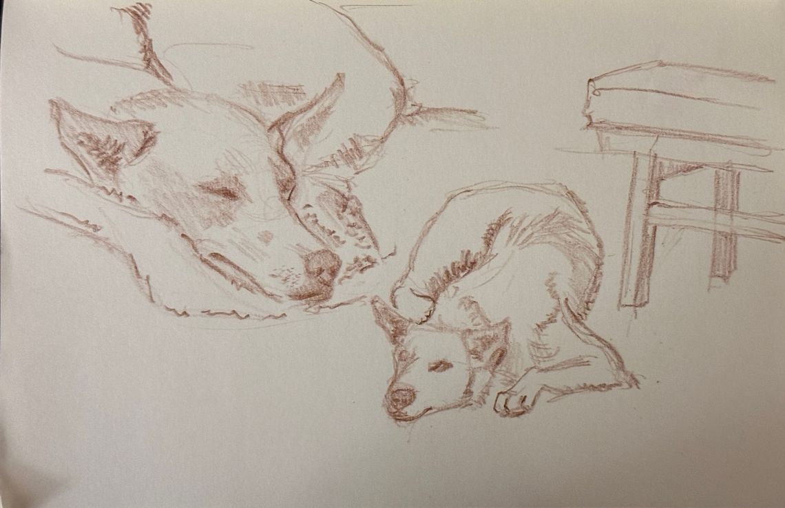 Maple and Finishing up a Floral Sketch