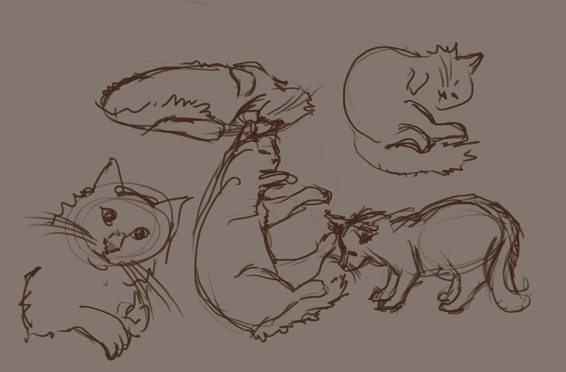 What’s Harder Than Drawing A Cat?