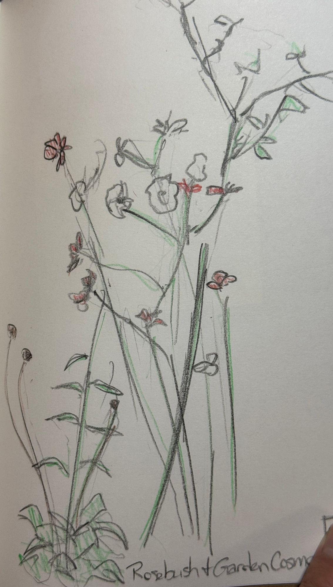 Scraping back the Paint