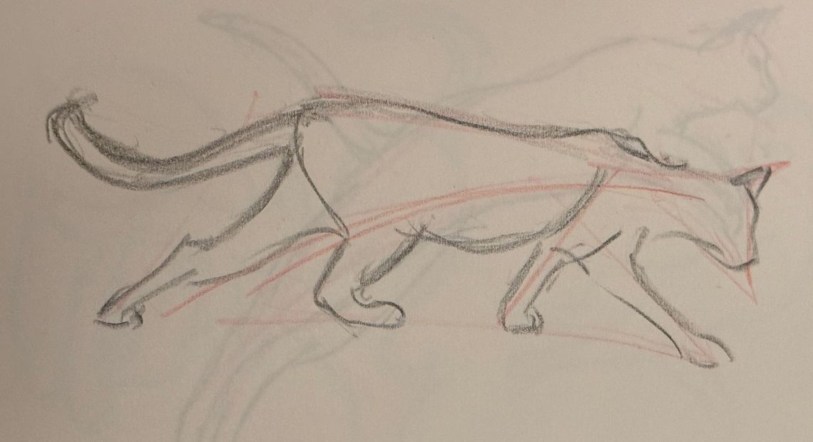 Cats are Really Just Made of Triangles