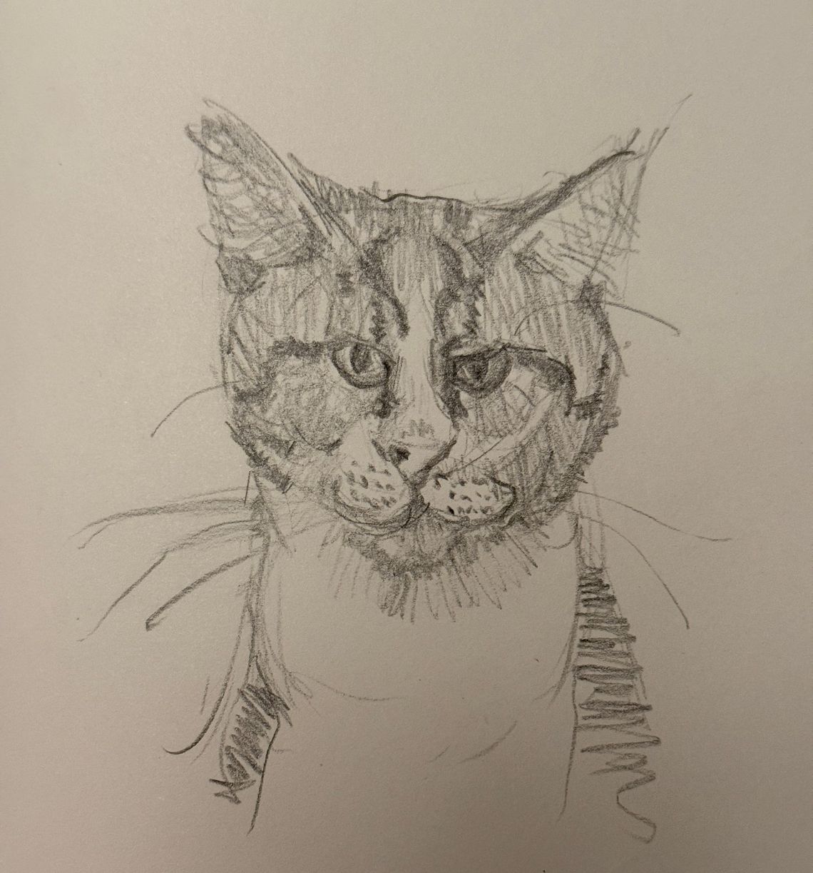 Friends-giving-day Cat