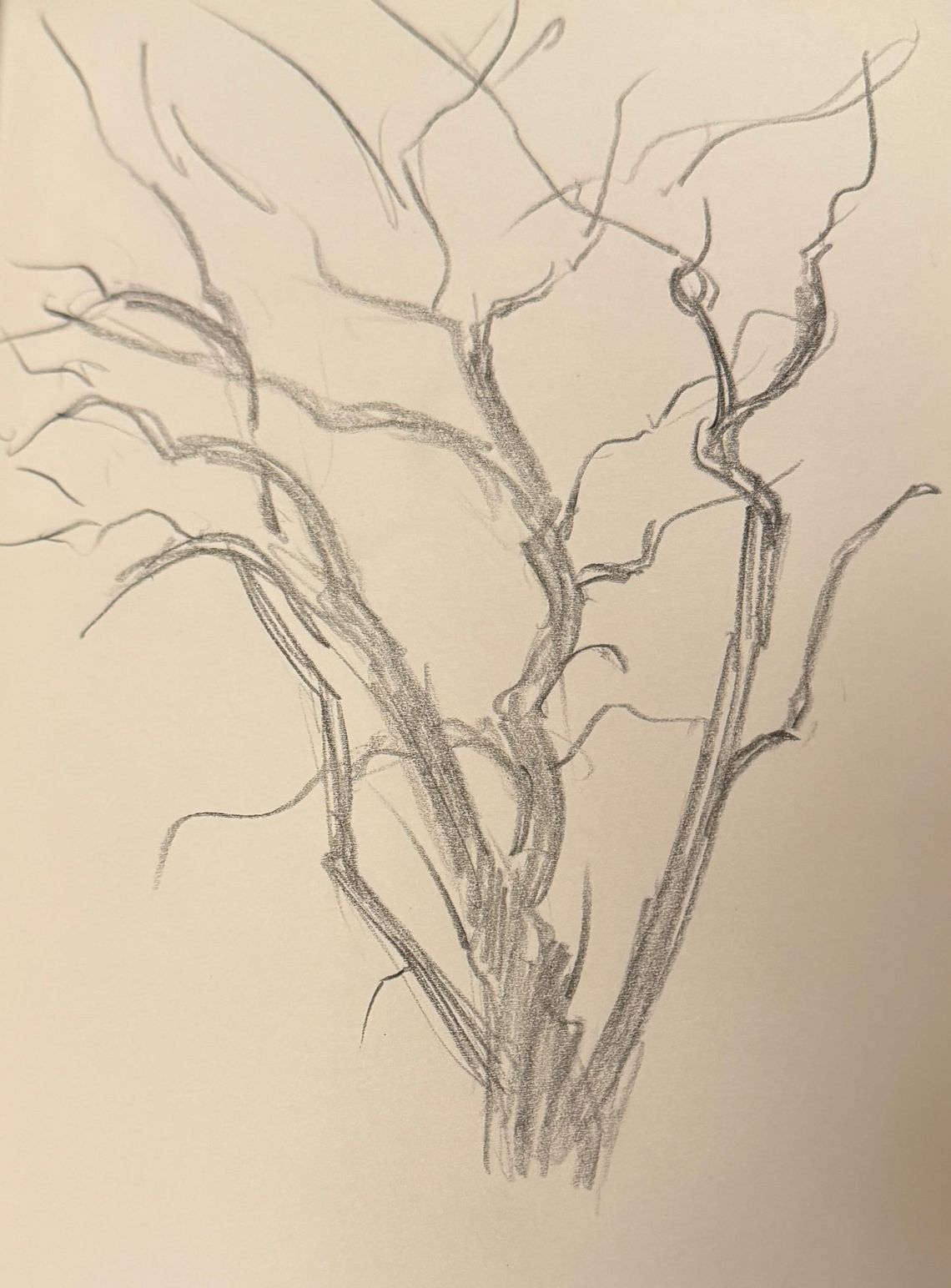 Weird Tree Sketch