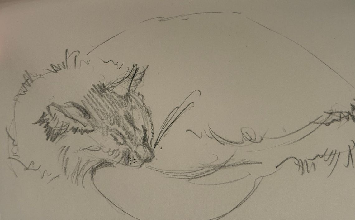 Sketches of Cat & Human Friends