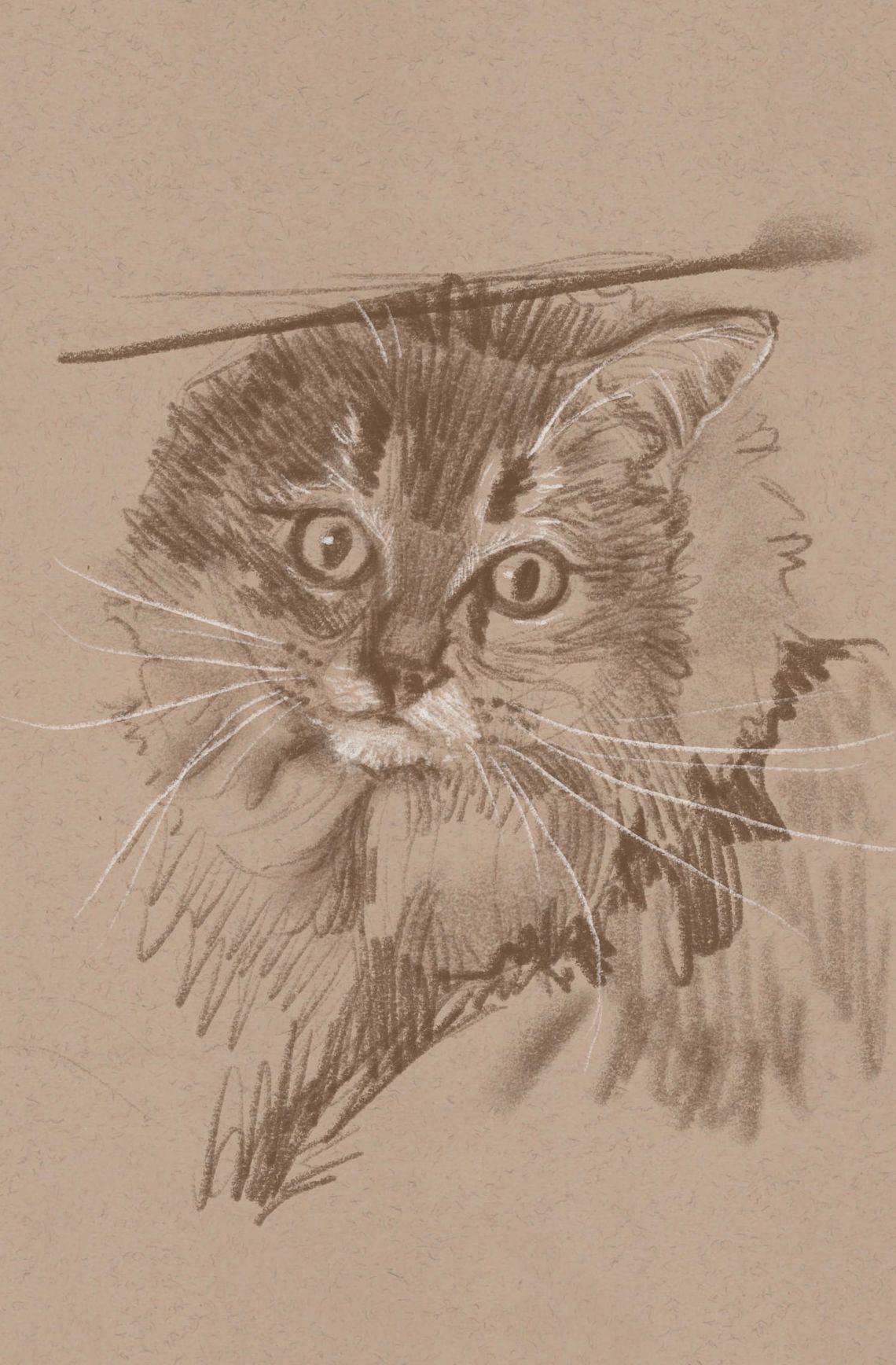 Alva Sketch