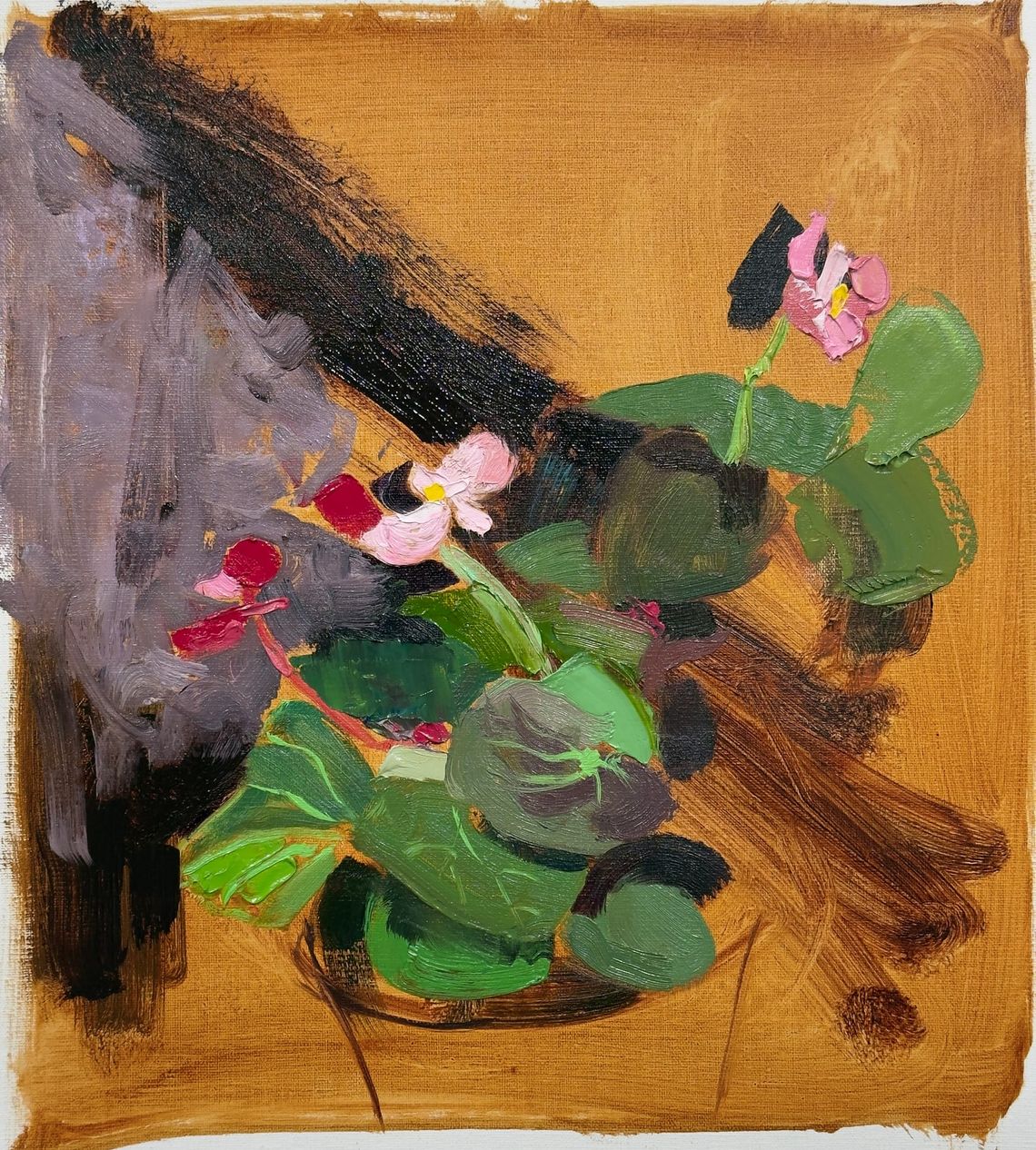 Back to Flowers