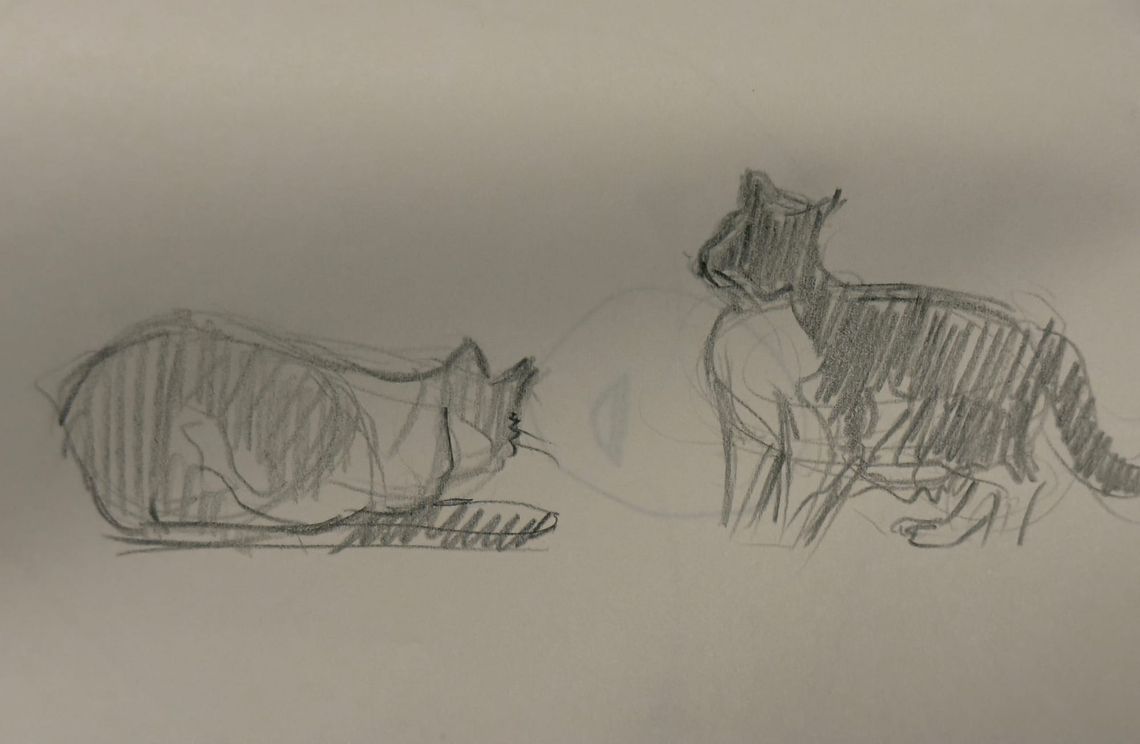 Cats Hunting