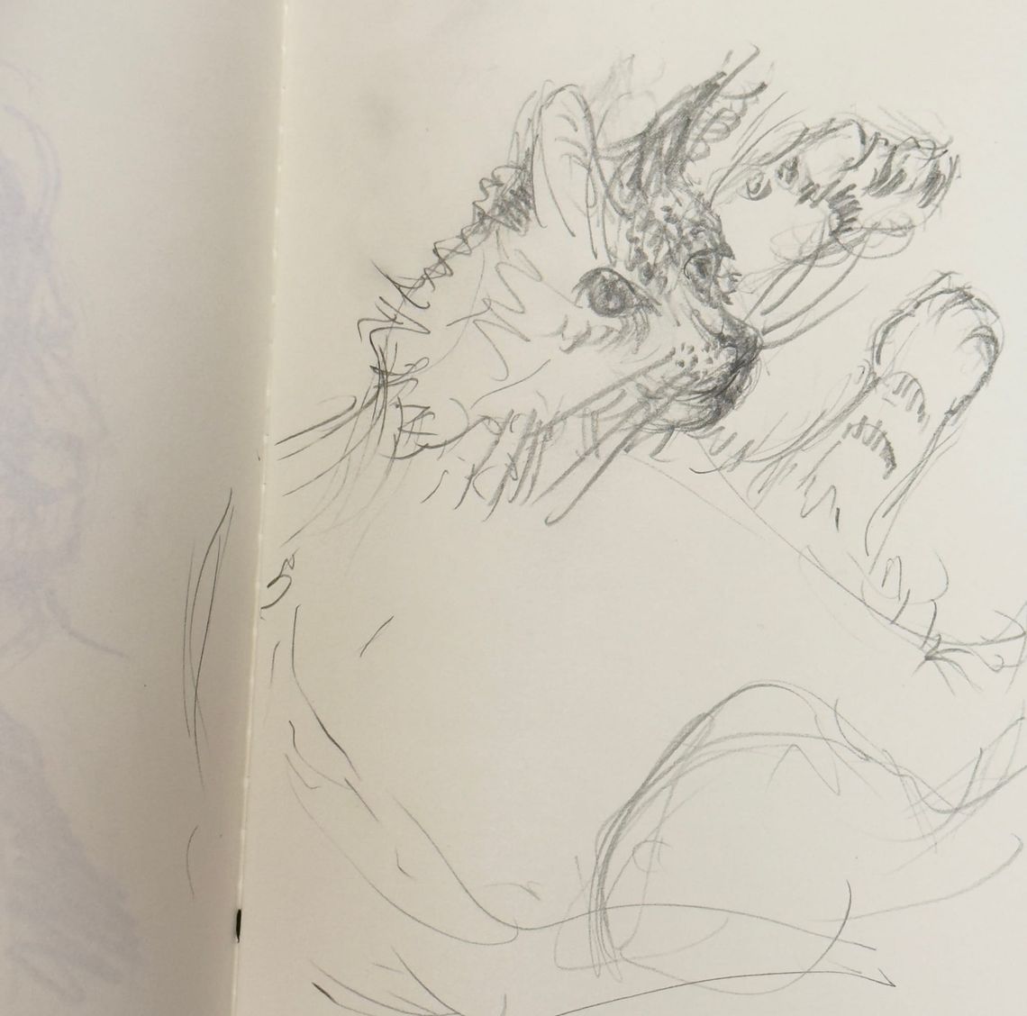 3.5 Minute Alva Life Sketch