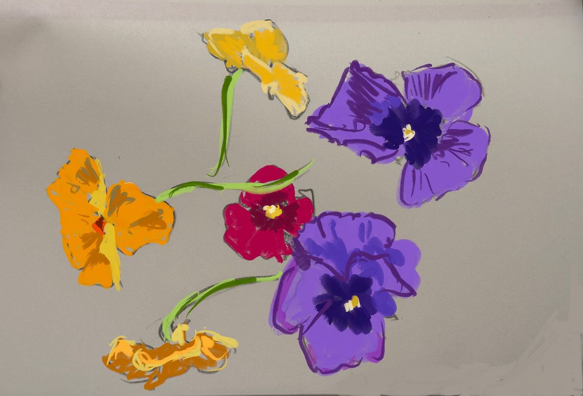 Digital Pansies Sketch