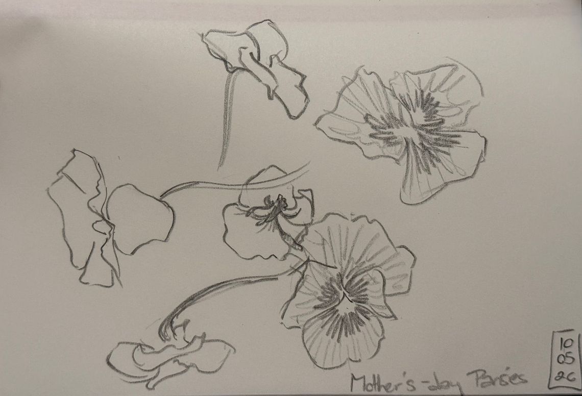Mother’s Day Pansies