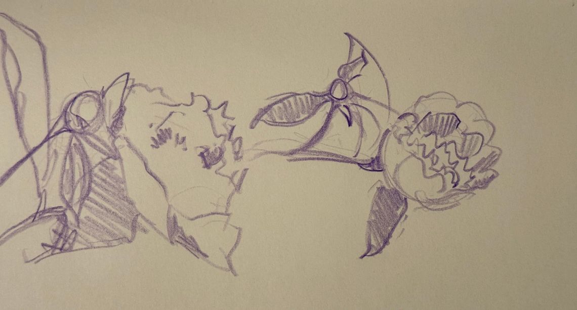 Peony Update