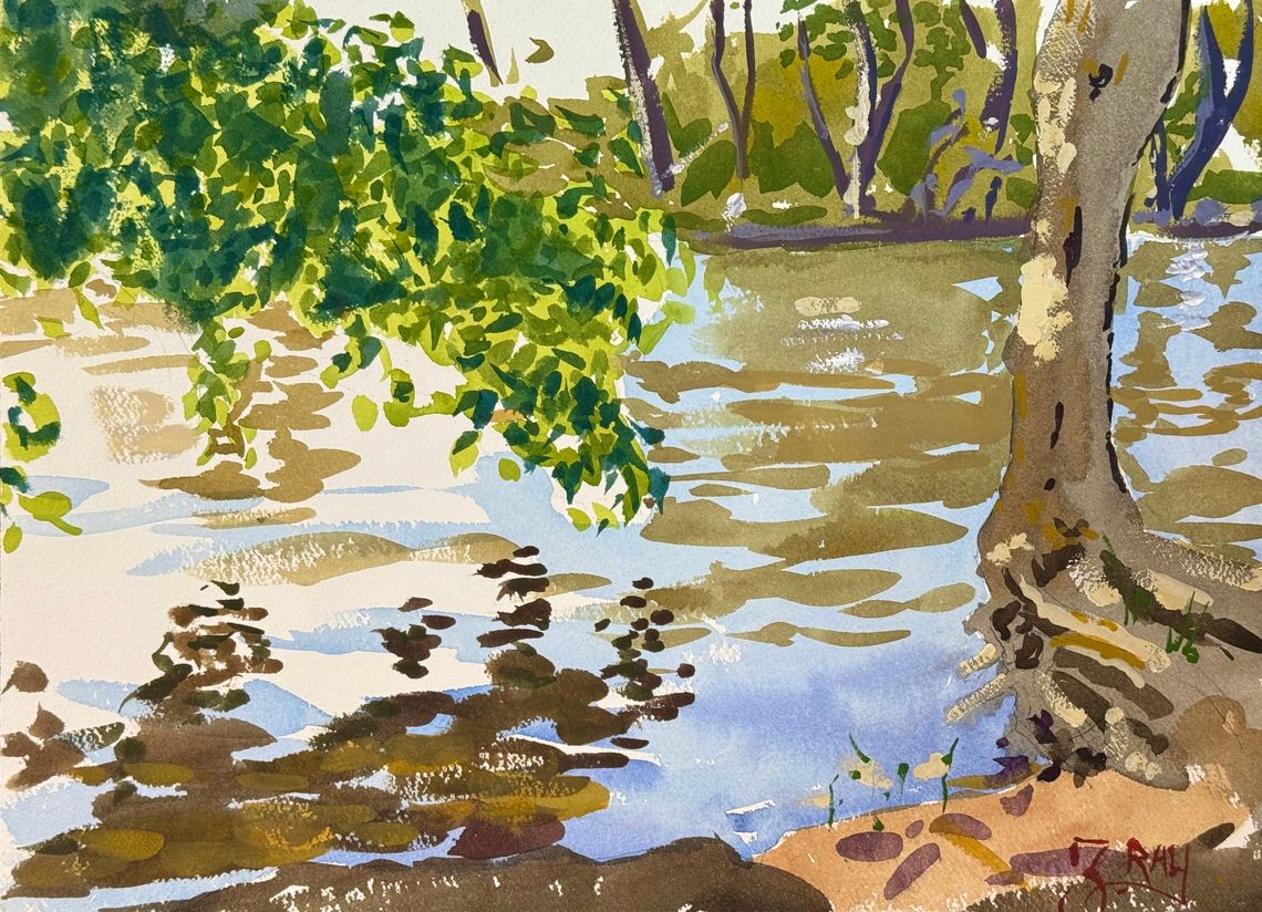 Leaves, Water & Reflections