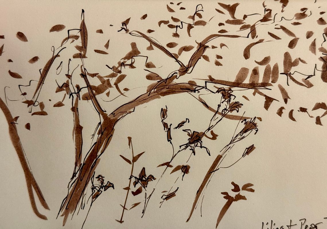 Lillies & Pear Tree