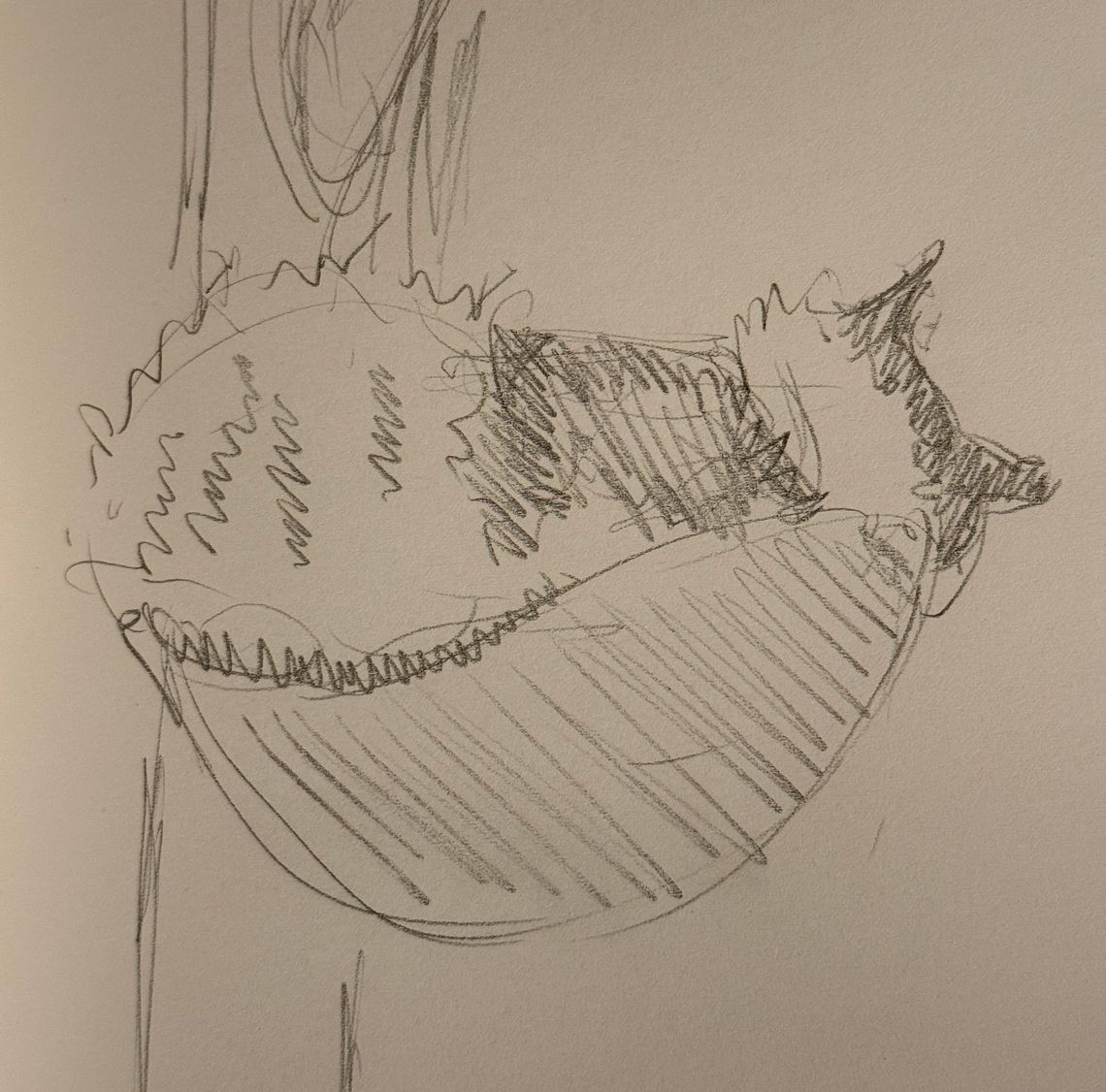 Alva Sleeping