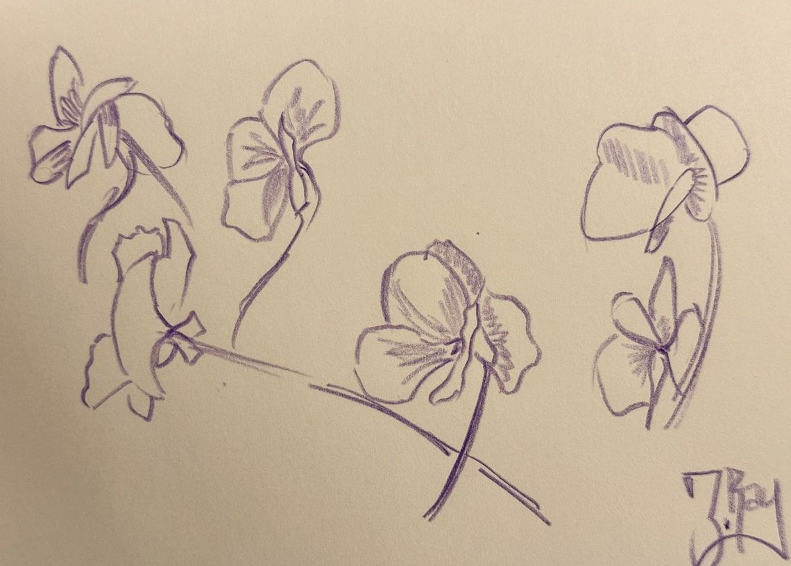 Pansies