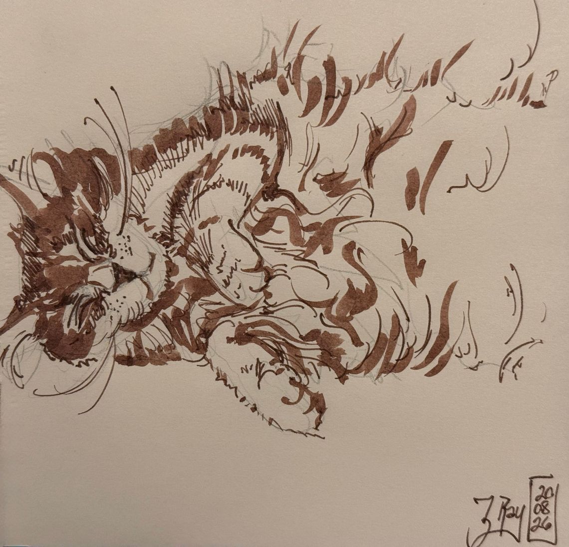 Yet Another Cat Sketch