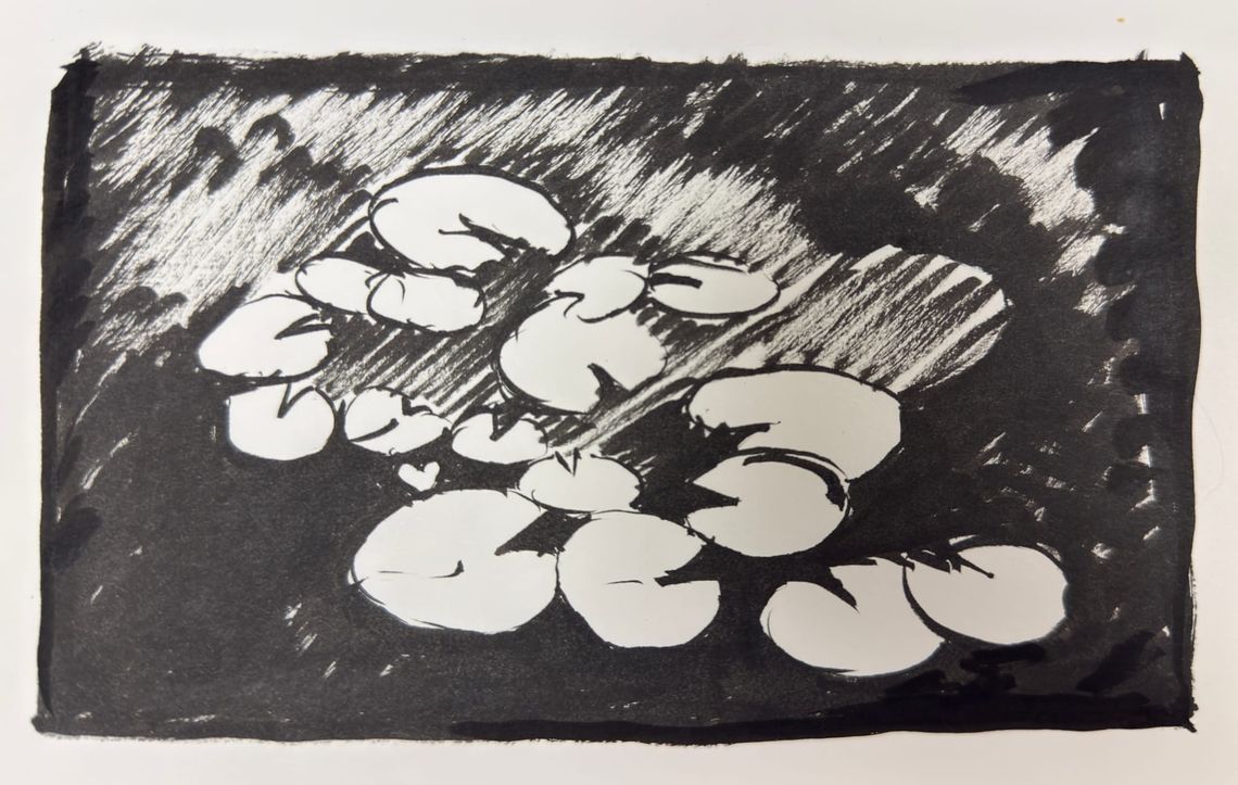 Lily Pad Ink Sketch