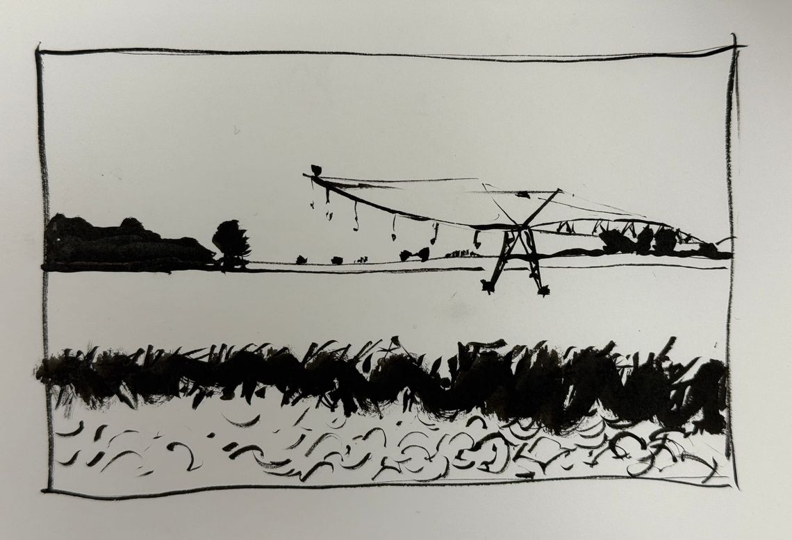 More Brush Pen Sketching