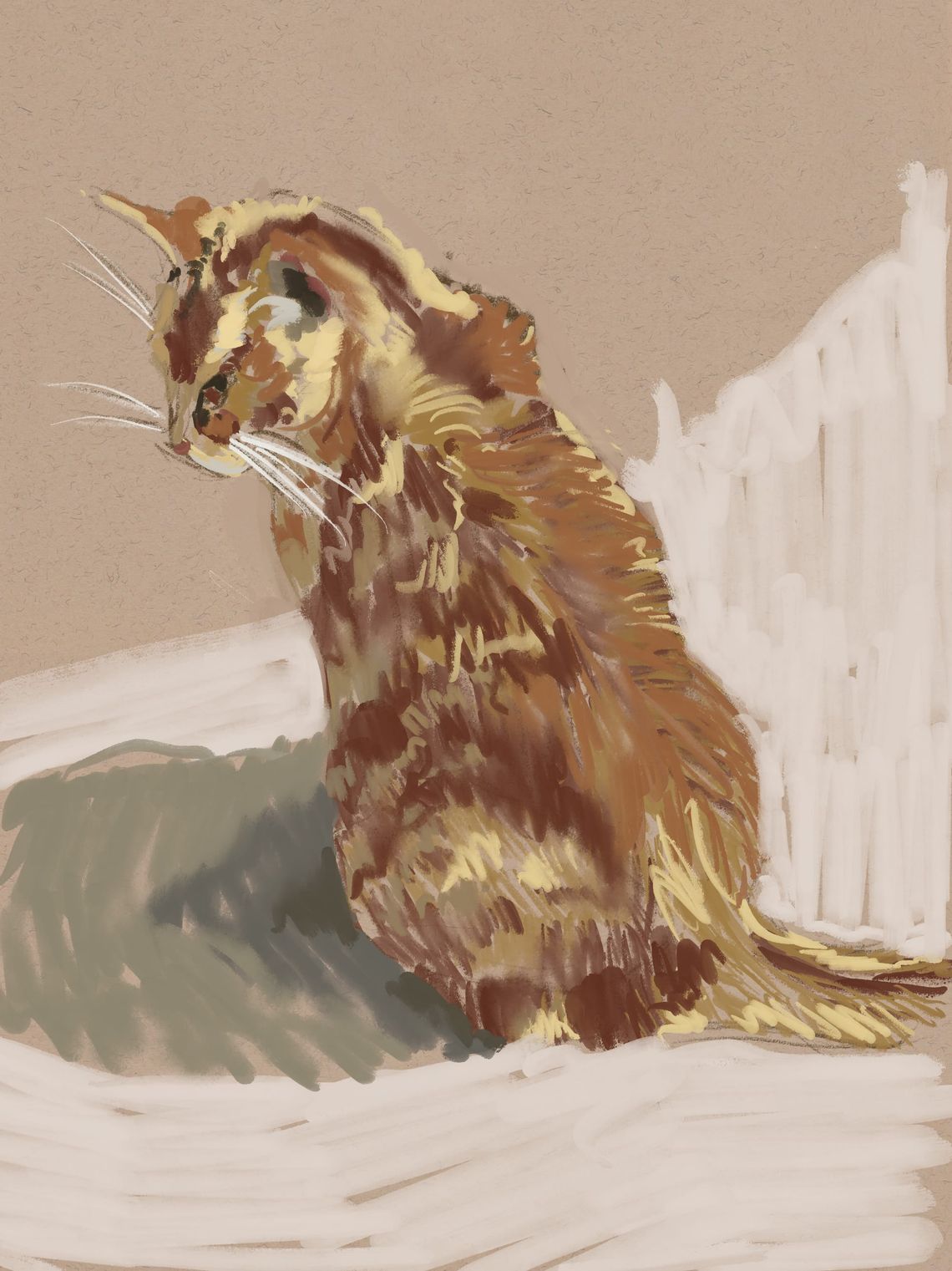 Color Sketch