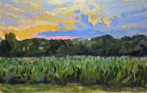 Sunrise Clouds Pt. 2