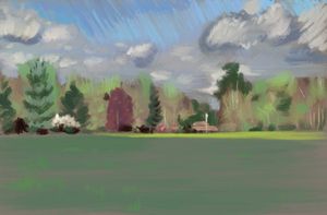 More Digital Landscapes