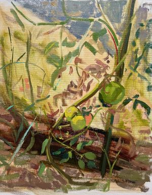 Toma-toes, Tom-a-to’s…