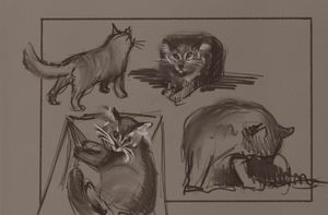 5 Minute Cat Sketches