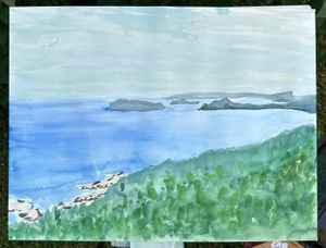 View From Sugar Loaf