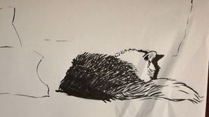 Another Quick Kitty Sketch