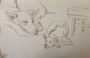 Maple and Finishing up a Floral Sketch