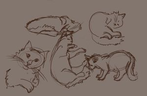 What’s Harder Than Drawing A Cat?