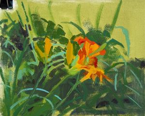 A Painted Lily Sketch