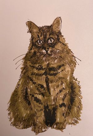 Brush Pens are Fun…