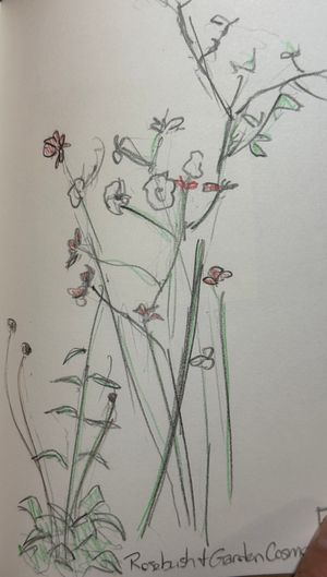 Scraping back the Paint